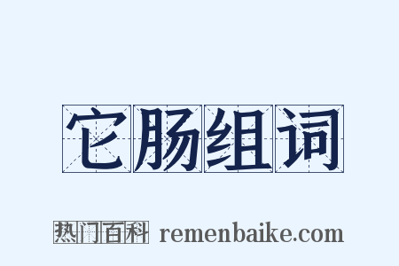 它肠组词是什么意思的图片